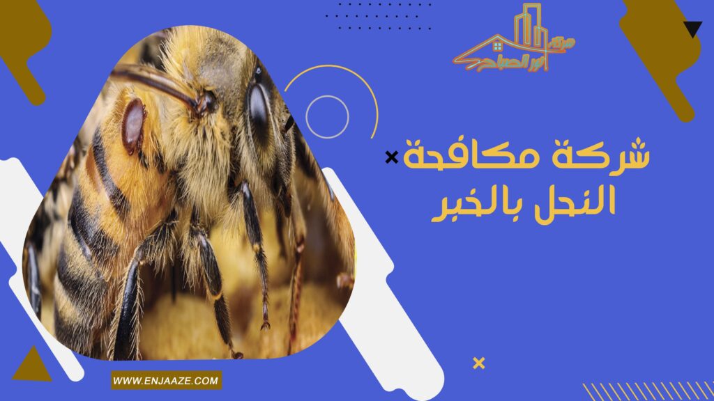 شركة مكافحة النحل بالخبر