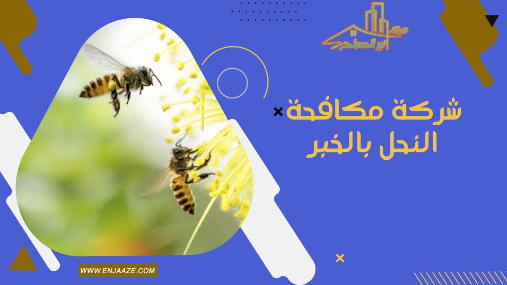 شركة مكافحة النحل بالخبر