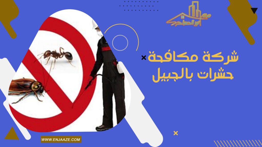 شركة مكافحة حشرات بالجبيل