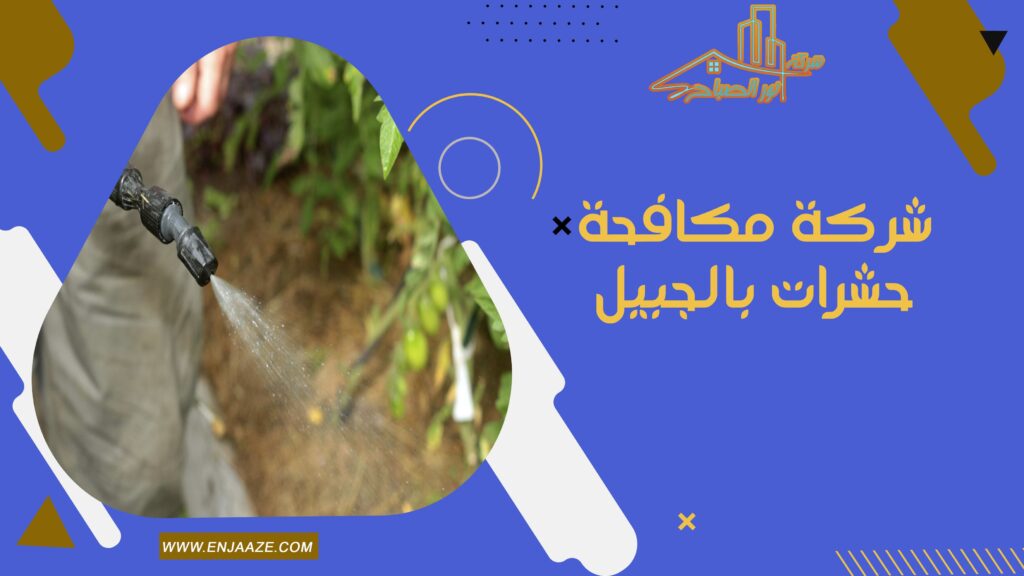 شركة مكافحة حشرات بالجبيل